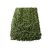 Gyógyfű Fodormenta tea 50 g